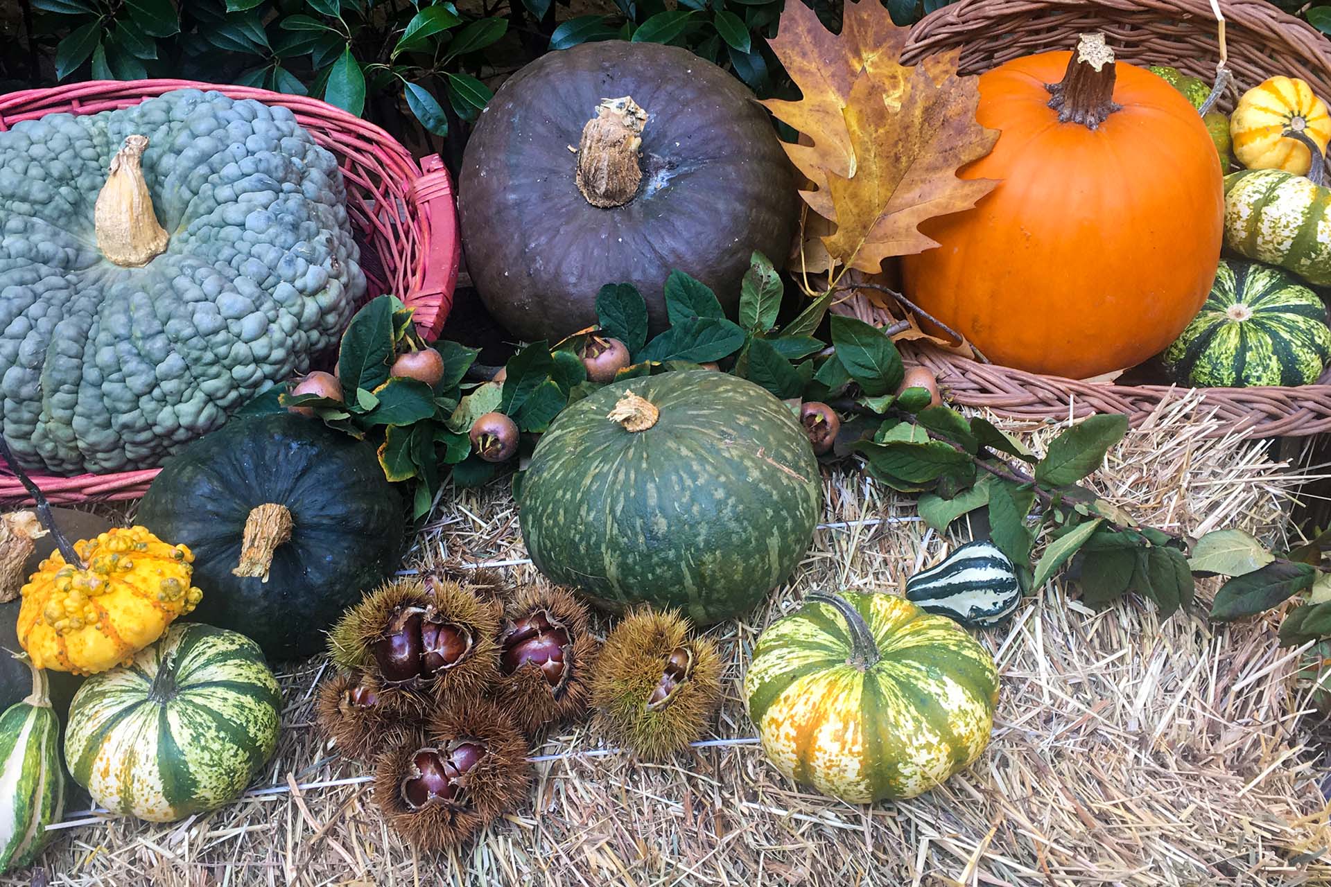 Ristorante La Sosta – Zucche e Autunno